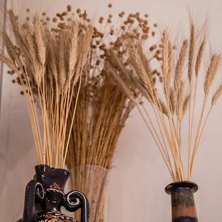 Old Old Style Apartment Krakau