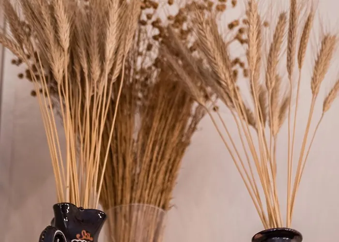 Old Old Style Appartement Cracovie